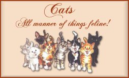 CATS